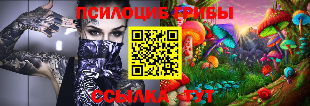 Калуга  Галлюциногенные грибы прущие грибы  Псилоцибиновые грибы GOLDEN TEACHER  Вход с VPN 